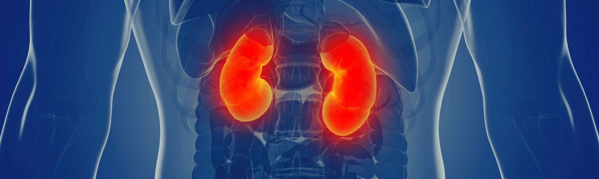 Regenerative therapy for diabetic kidney disease